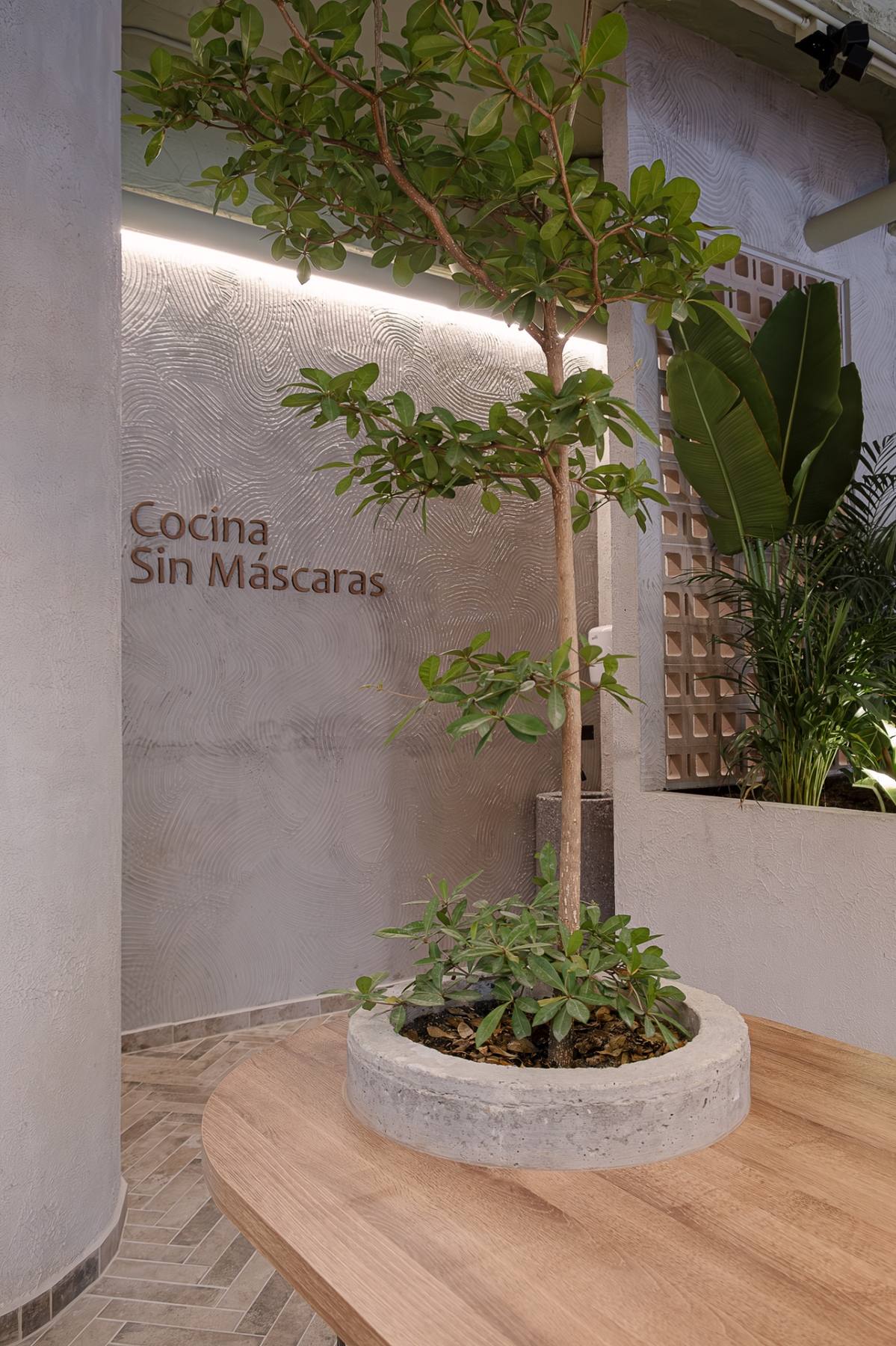 Bloom Garden — Entrada