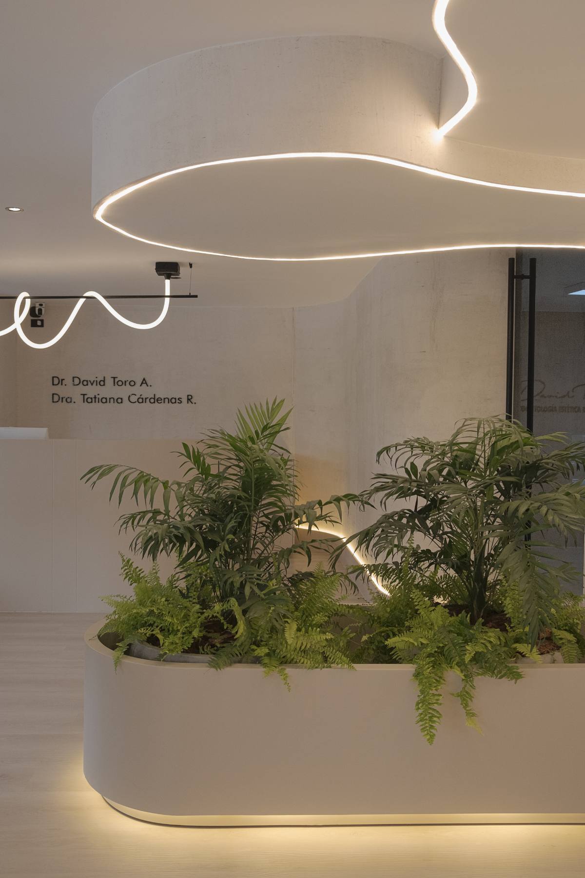 Consultorio T.C. — Comercial, Armenia, Quindío